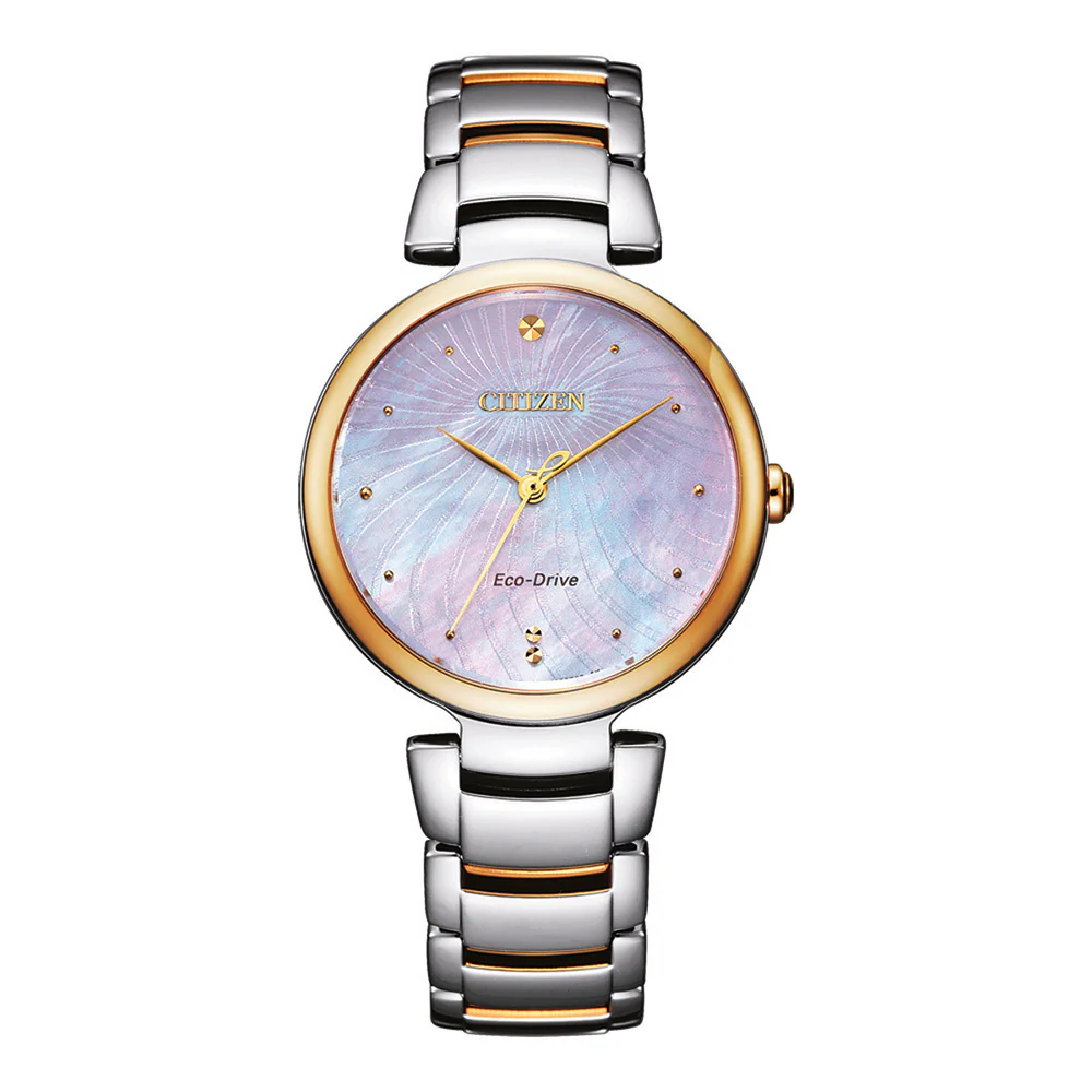 Citizen Eco-Drive Silver EM0854-89Y Womens Watch