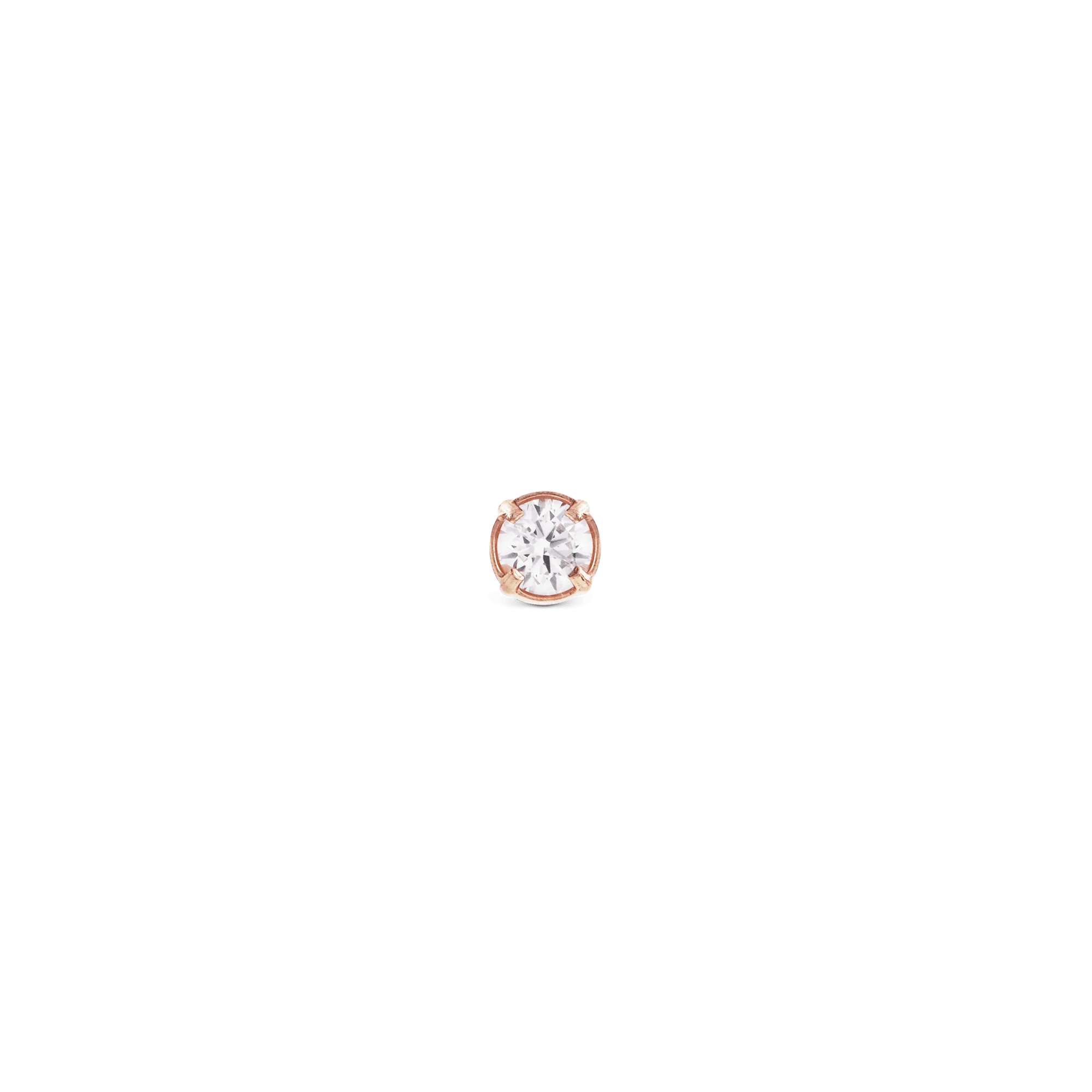 Daniel Wellington Crystal Stud Rose Gold