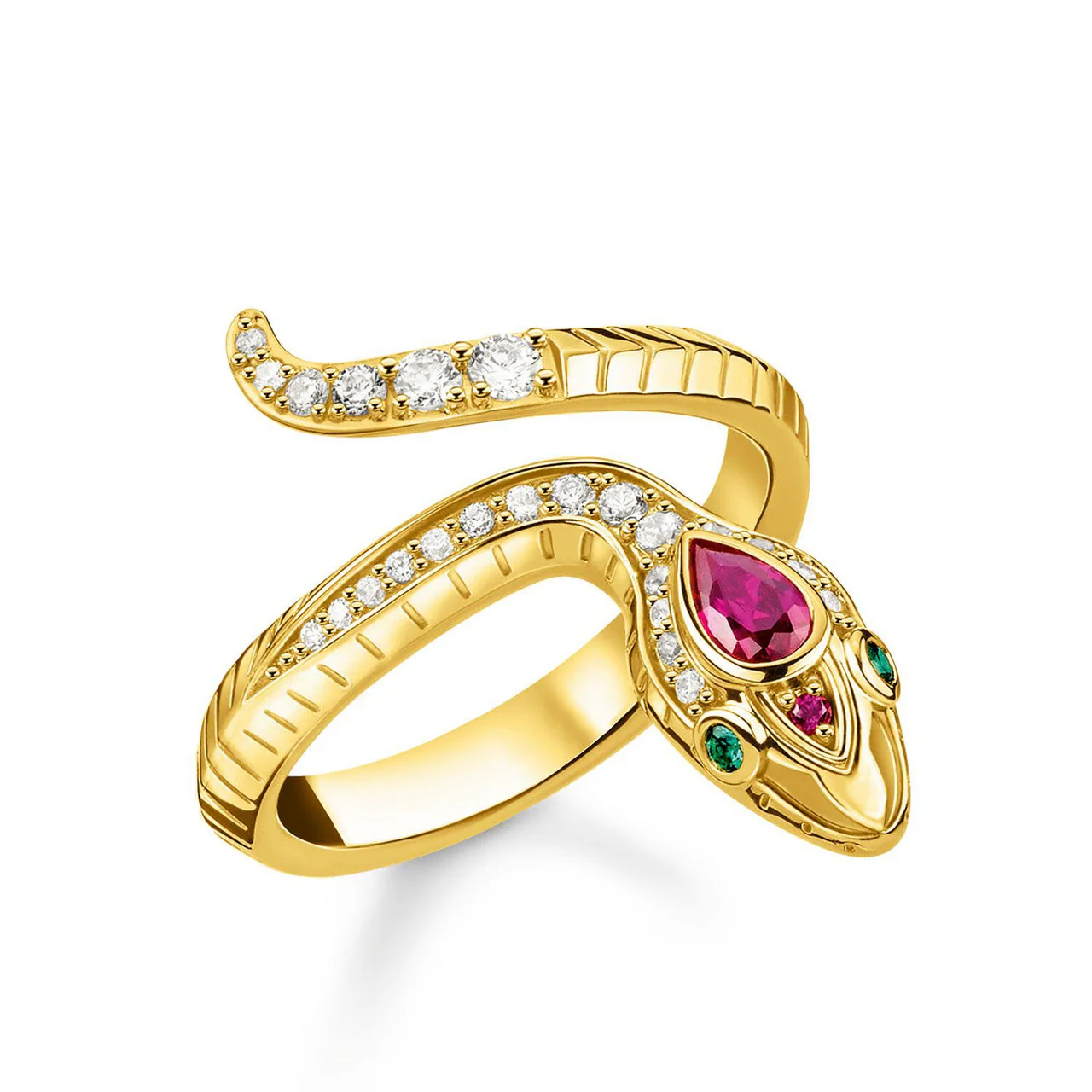 Ring Snake - TR2304-488-7